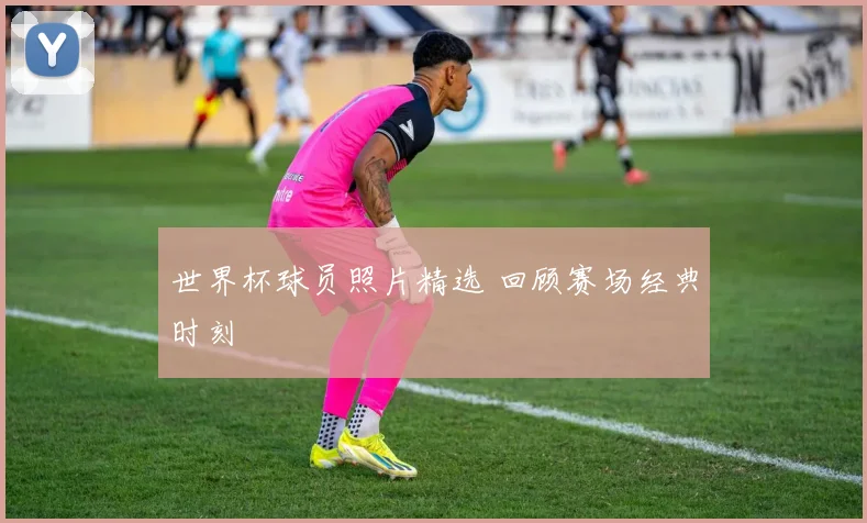 世界杯球员照片精选 回顾赛场经典时刻