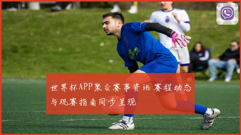 世界杯APP聚合赛事资讯 赛程动态与观赛指南同步呈现