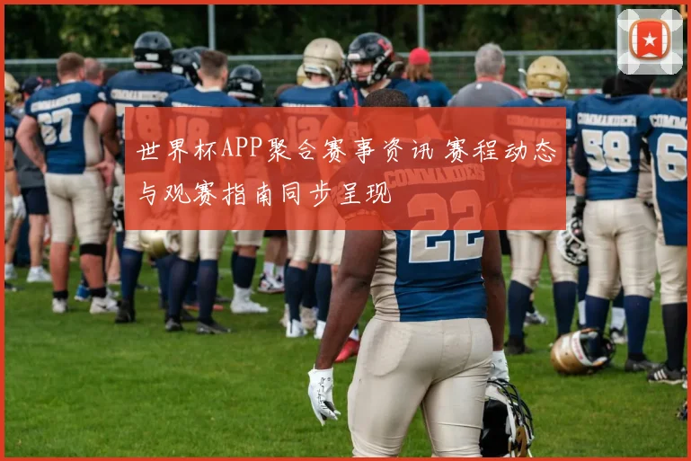 世界杯APP聚合赛事资讯 赛程动态与观赛指南同步呈现