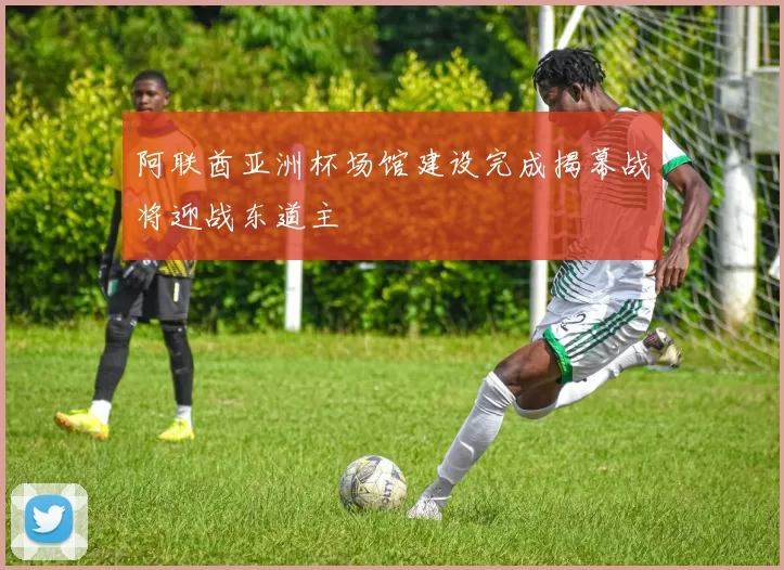 阿联酋亚洲杯场馆建设完成揭幕战将迎战东道主