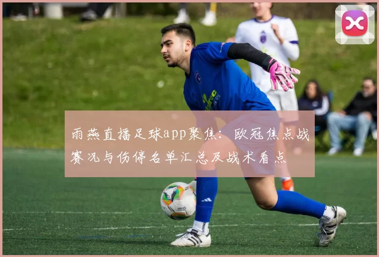 雨燕直播足球app聚焦：欧冠焦点战赛况与伤停名单汇总及战术看点
